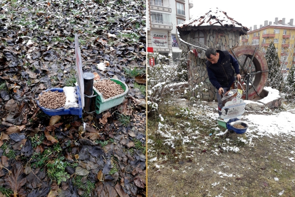 Çankırı’da Sokak Hayvanları İçin Kış Hazırlığı